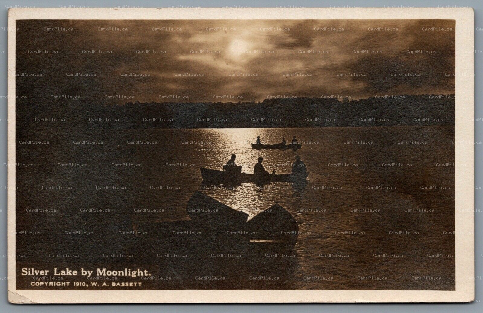 Postcard RPPC c1910 Silver Lake NY Silver Lake by Moonlight Wyoming County