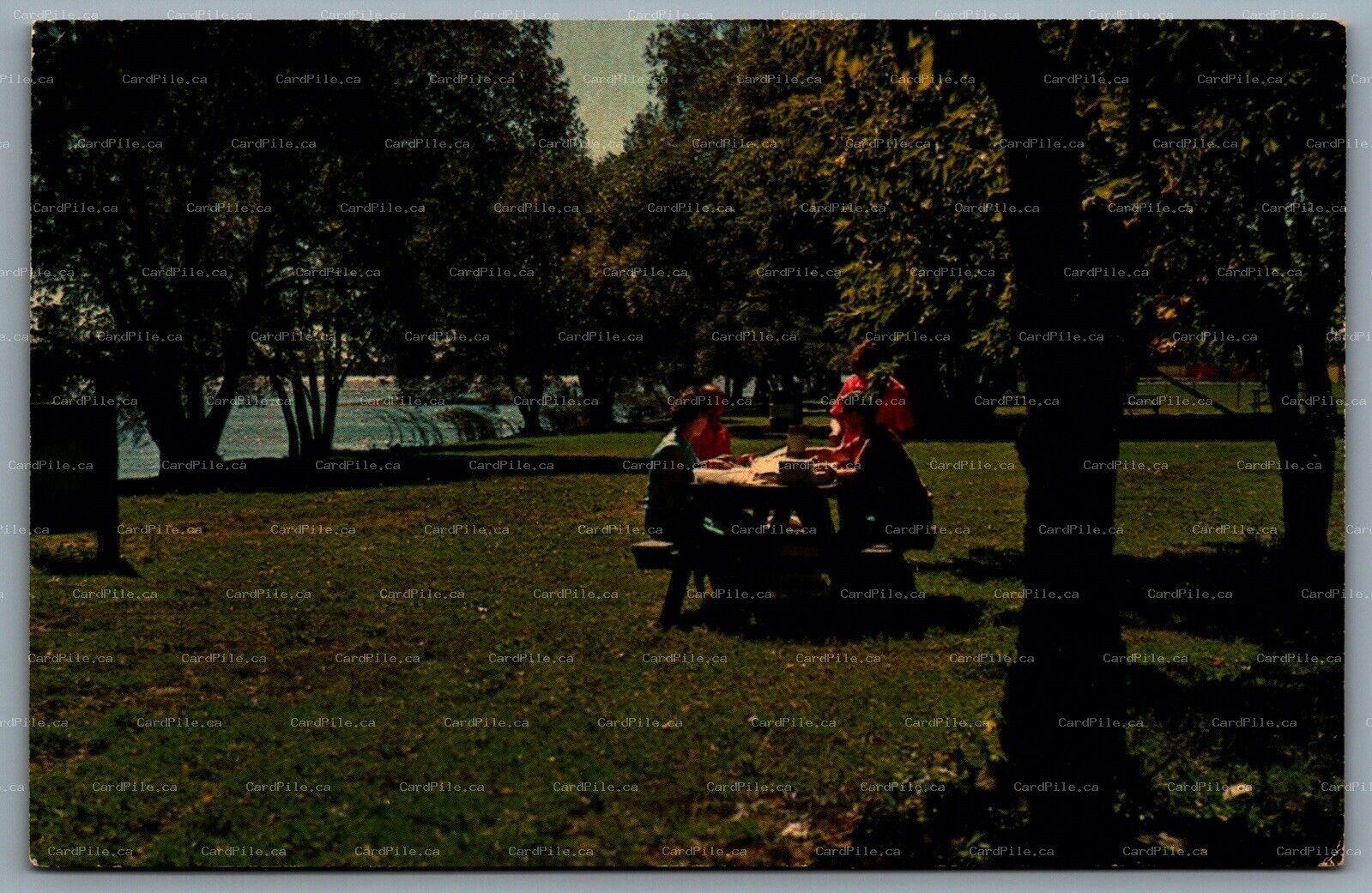 Postcard Belleville Ontario c1960s Picnic Area Centennial Park