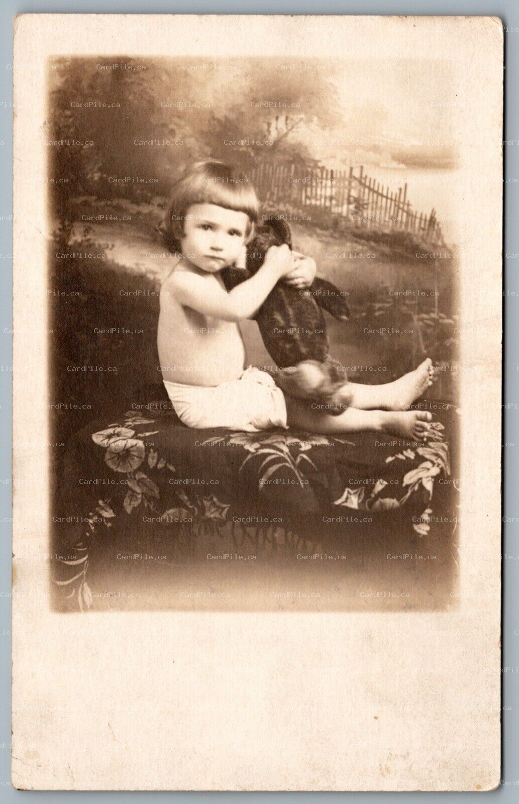 Postcard RPPC c1915 Detroit MI Studio Photo of Child & Stuffed Toy Perle Studio