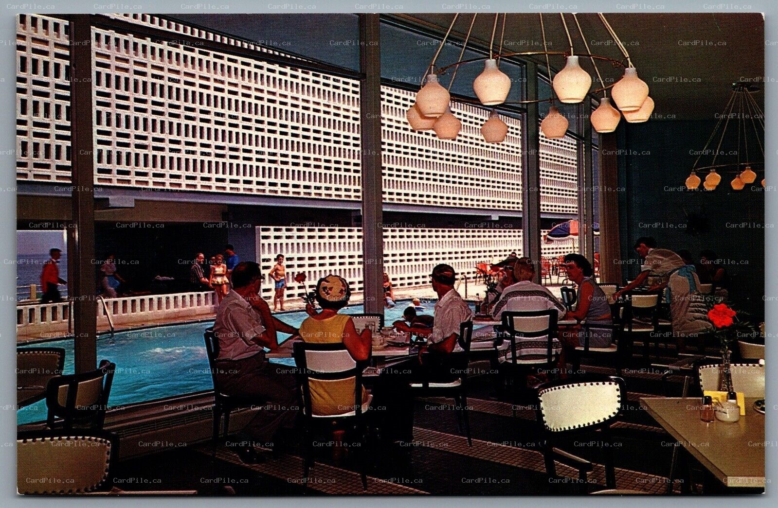 Postcard Virginia Beach VA c1960s The Thunderbird Motor Lodge Pool Interior View