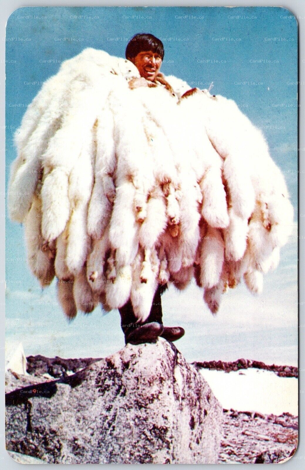 Postcard c1950s Canada Souvenir of The Hudson