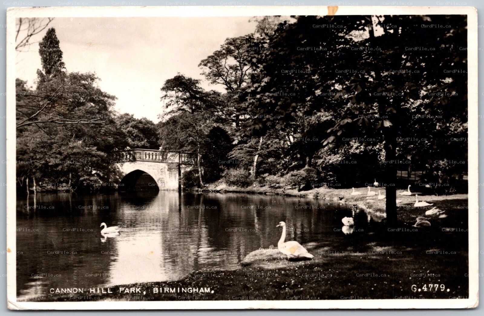 Postcard RPPC c1956 Birmingham United Kingdom Cannon Hill Park Swans