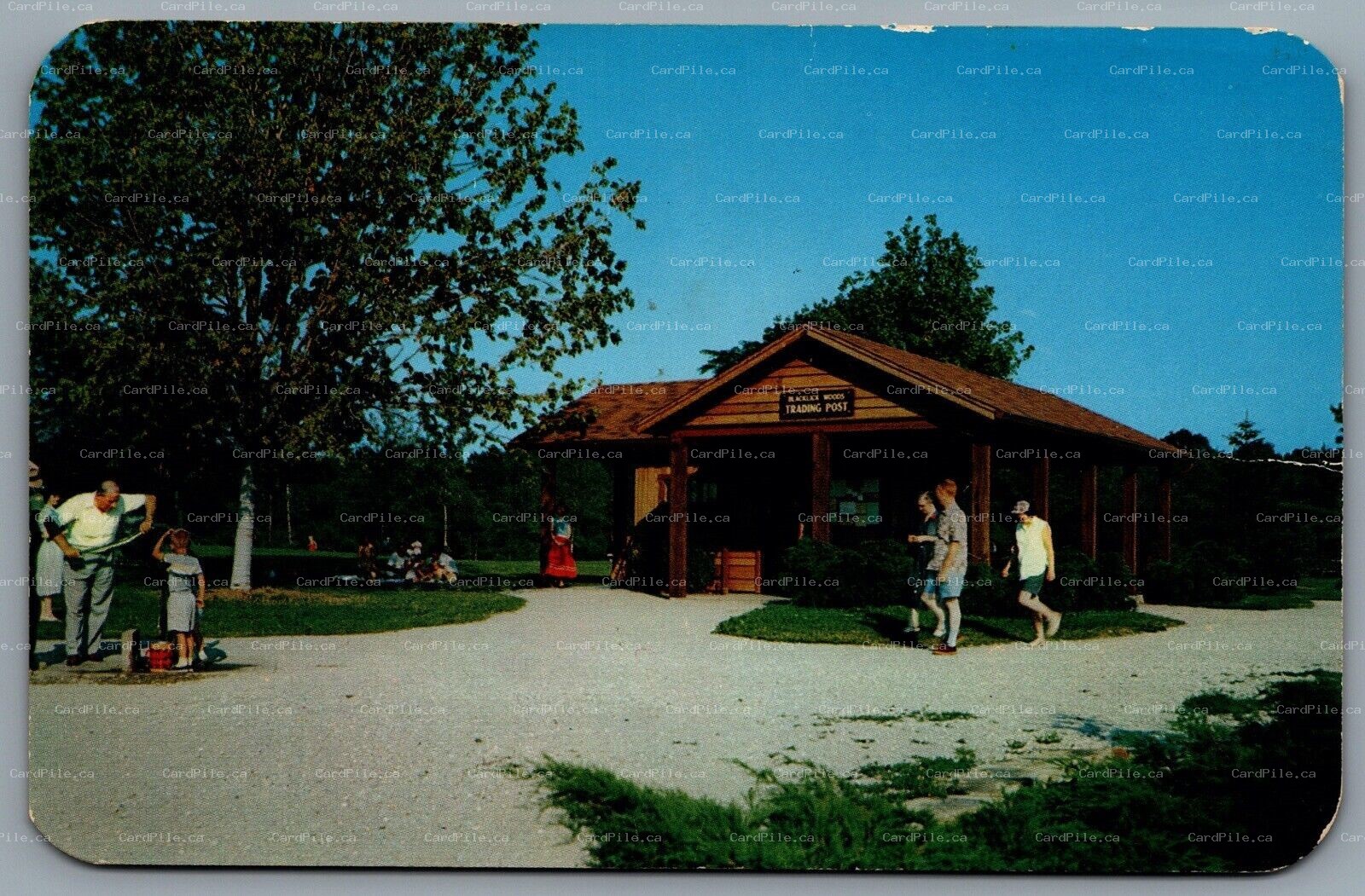 Postcard Columbus OH c1960s Blacklick Woods Metropolitan Park Trading Post 