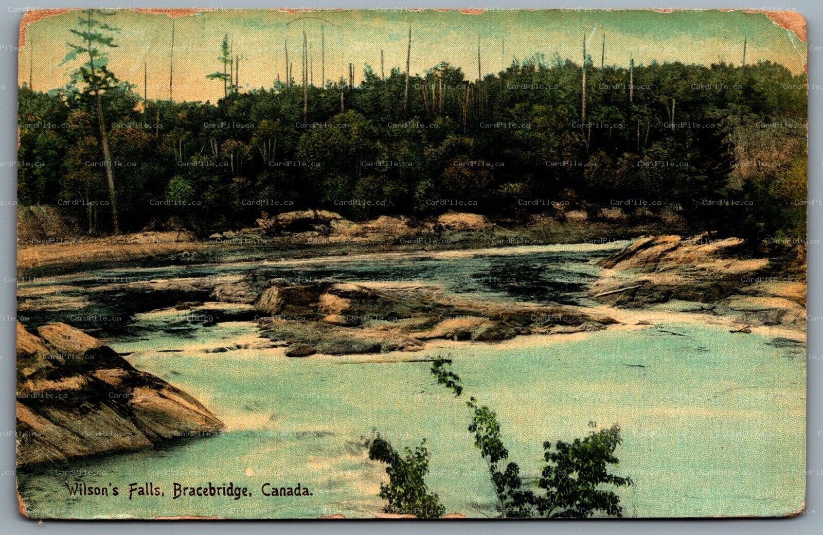 Postcard Bracebridge Ontario c1910 Wilson