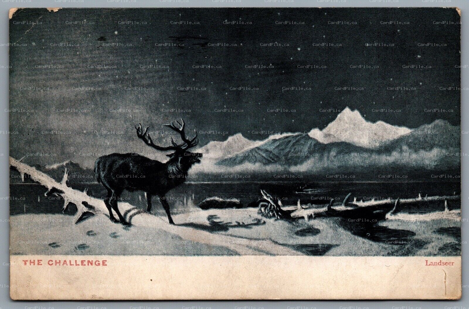 Postcard Canada c1908 The Challenge Edwin Henry Landseer Stag Standing In Snow
