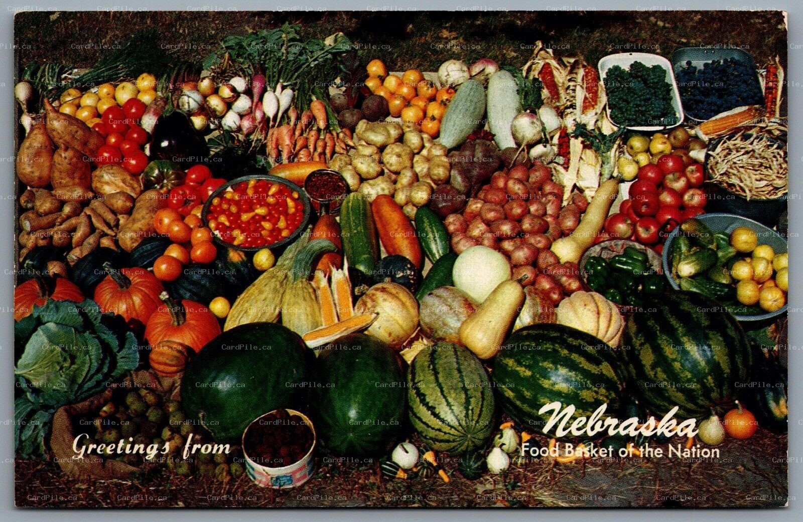 Postcard Nebraska NE c1960s Greetings From Nebraska Food Basket Of The Nation
