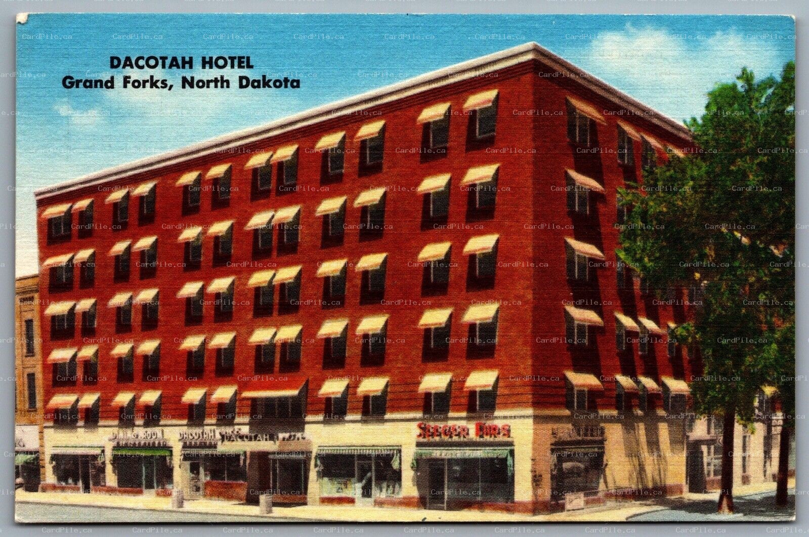 Postcard Grand Forks ND c1940s Dacotah Hotel Seeger Furs Defunct Linen