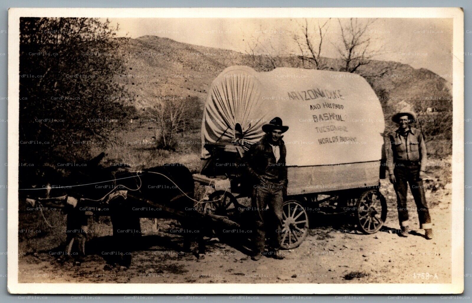 Postcard RPPC c1940s Arizona Duke & Bashful Covered Wagon Troupe Signed 