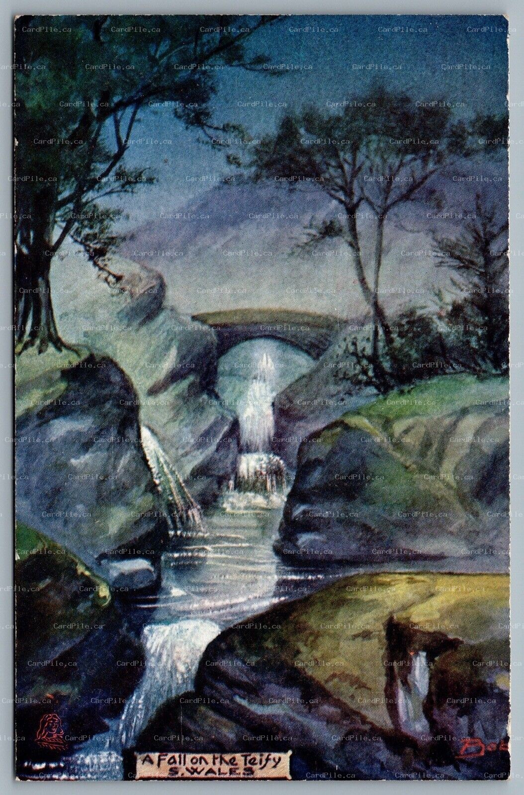 Postcard UK c1920s South Wales A Fall On The Teifi Artist Signed Bob