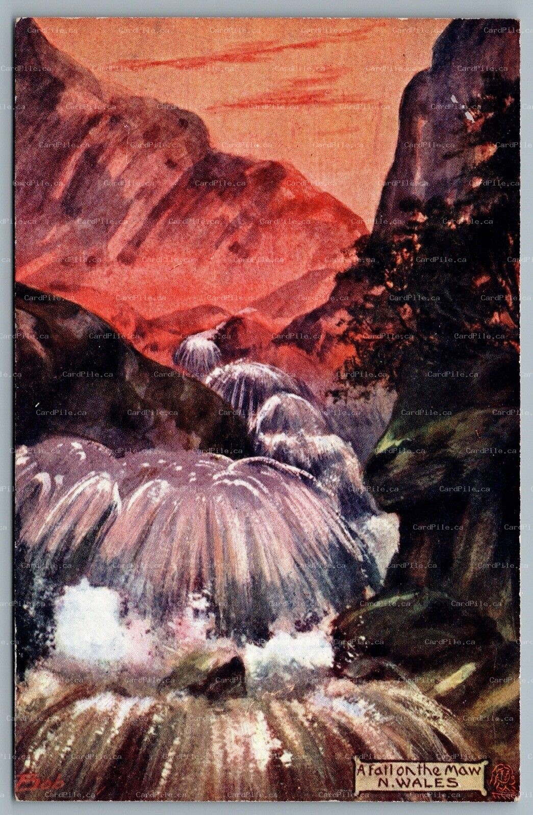 Postcard UK c1920s North Wales A Fall On The Maw Artist Signed Bob