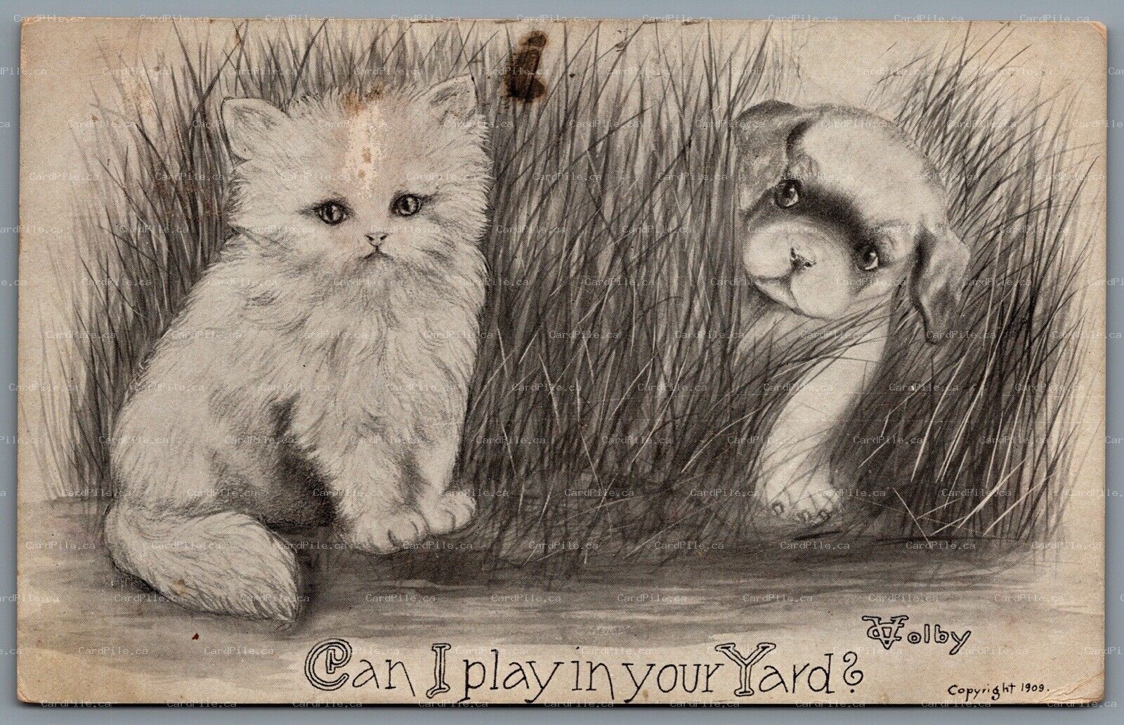 Postcard 1909 Arist Signed Vincent V. Colby Puppy Kitten Can I Play In Your Yard