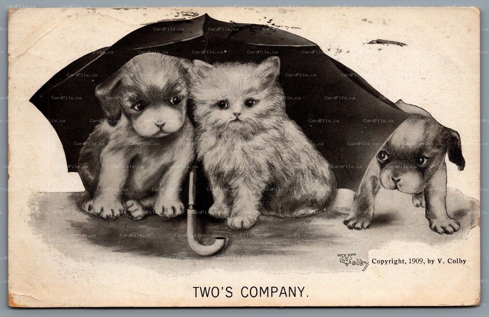 Postcard c1909 Arist Signed AS Vincent V. Colby Two's Company Puppies & Kitten