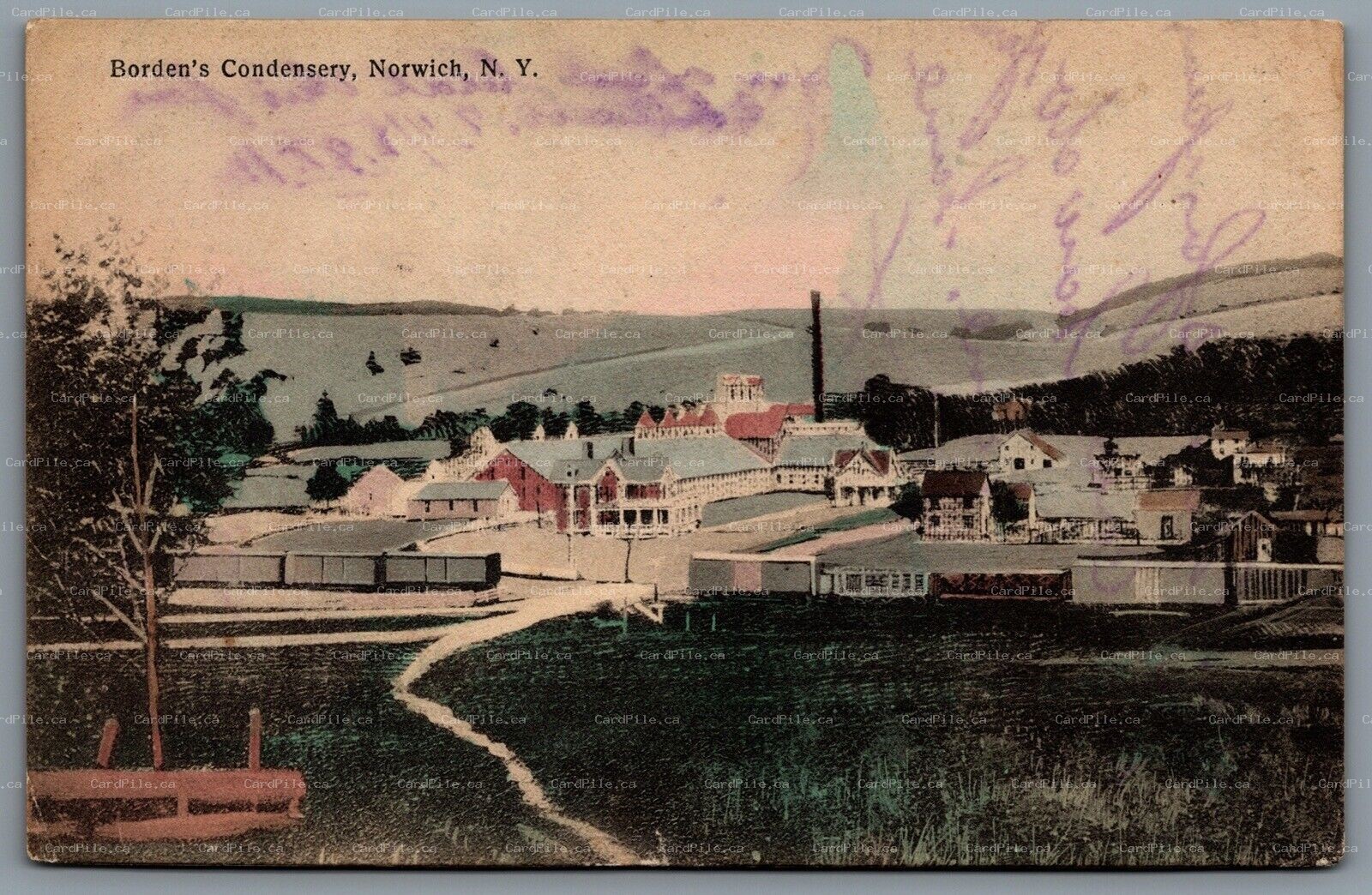 Postcard Norwich NY c1905 Bordens Condensery Dairy Plant Hand Colored 