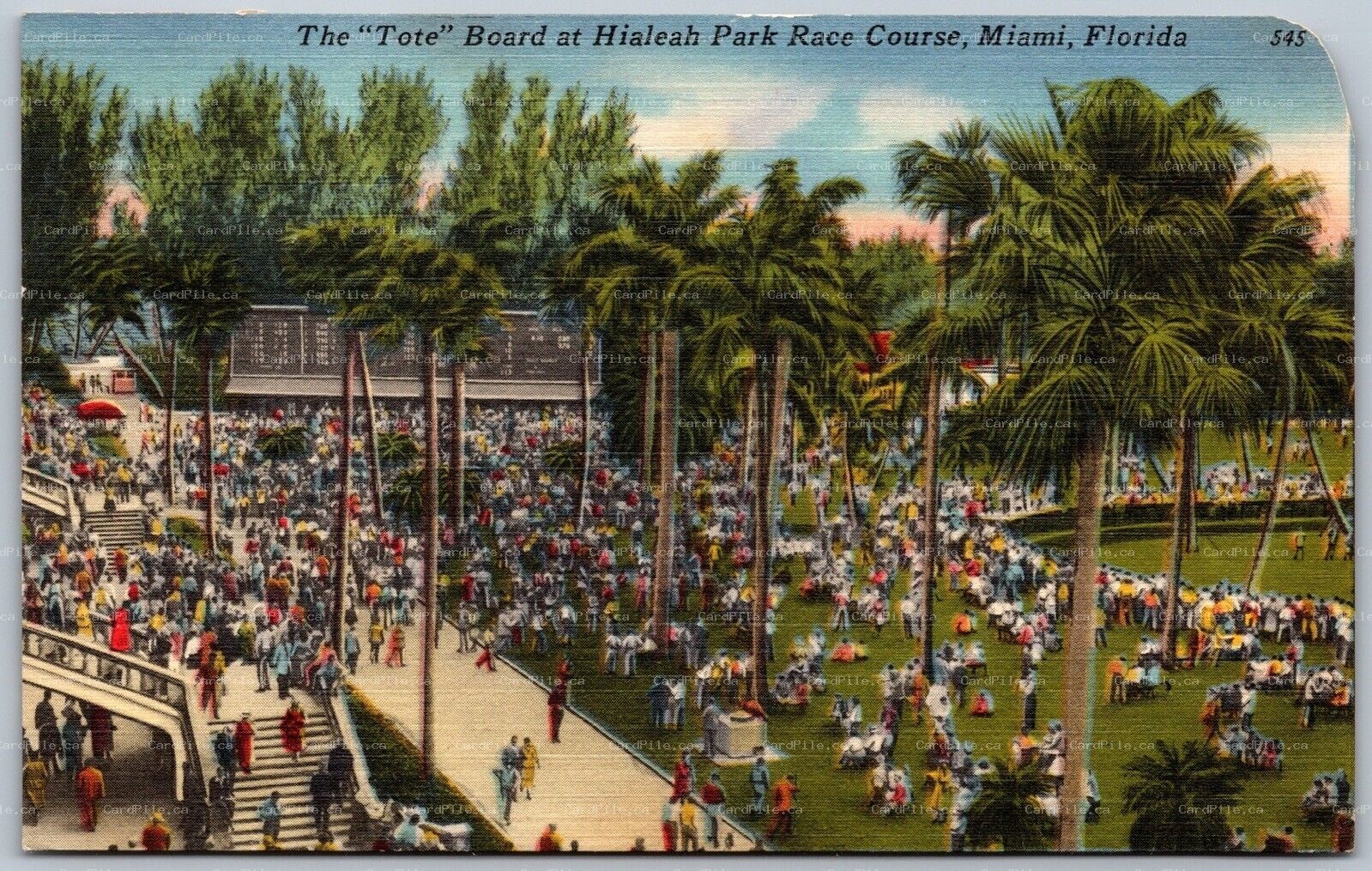 Postcard Miami Florida c1956 The Tote Board at Hialeah Park Race Course