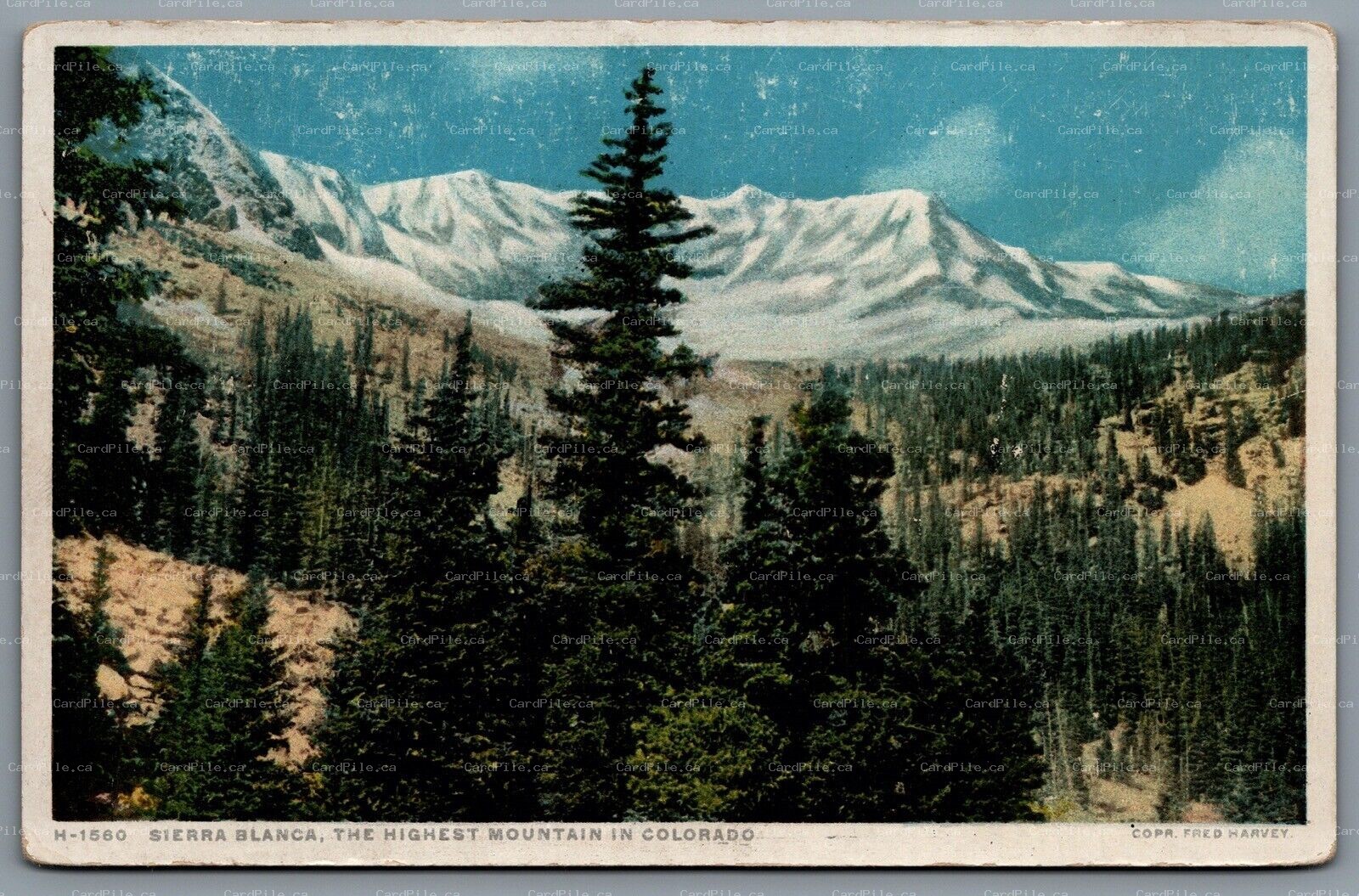 Postcard Sierra Blanca CO c1920s Fred Harvey Highest Mountain in Colorado