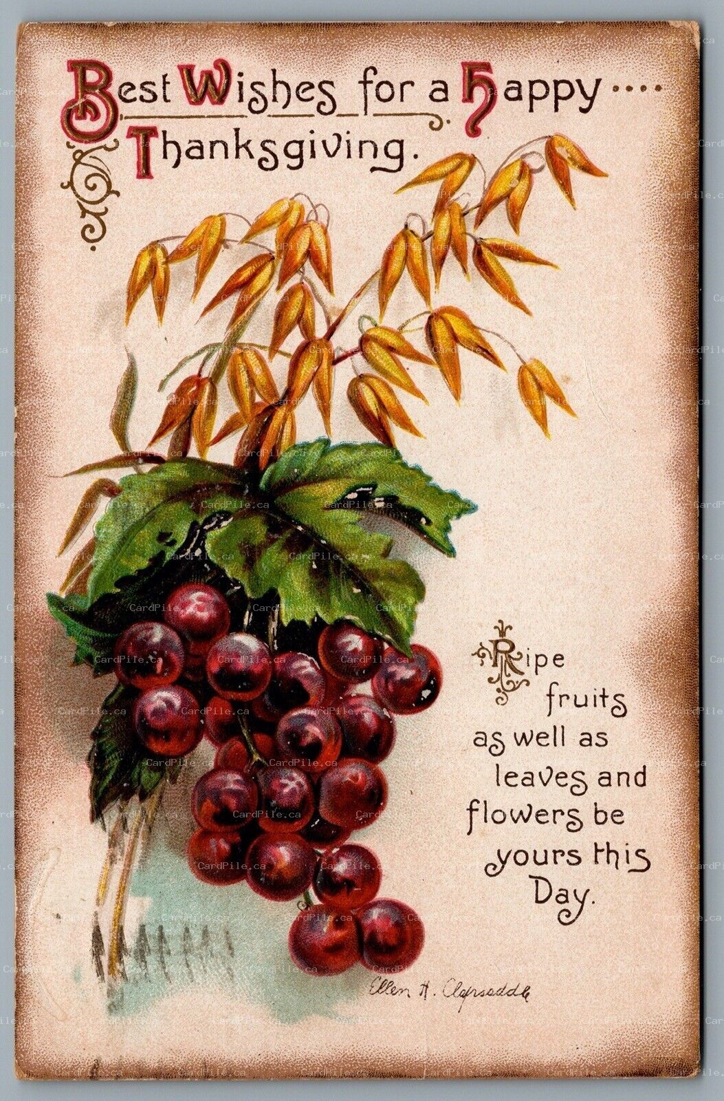 Postcard Thanksgiving c1912 Arist Signed AS Ellen Clapsaddle Ripe Fruits CDS