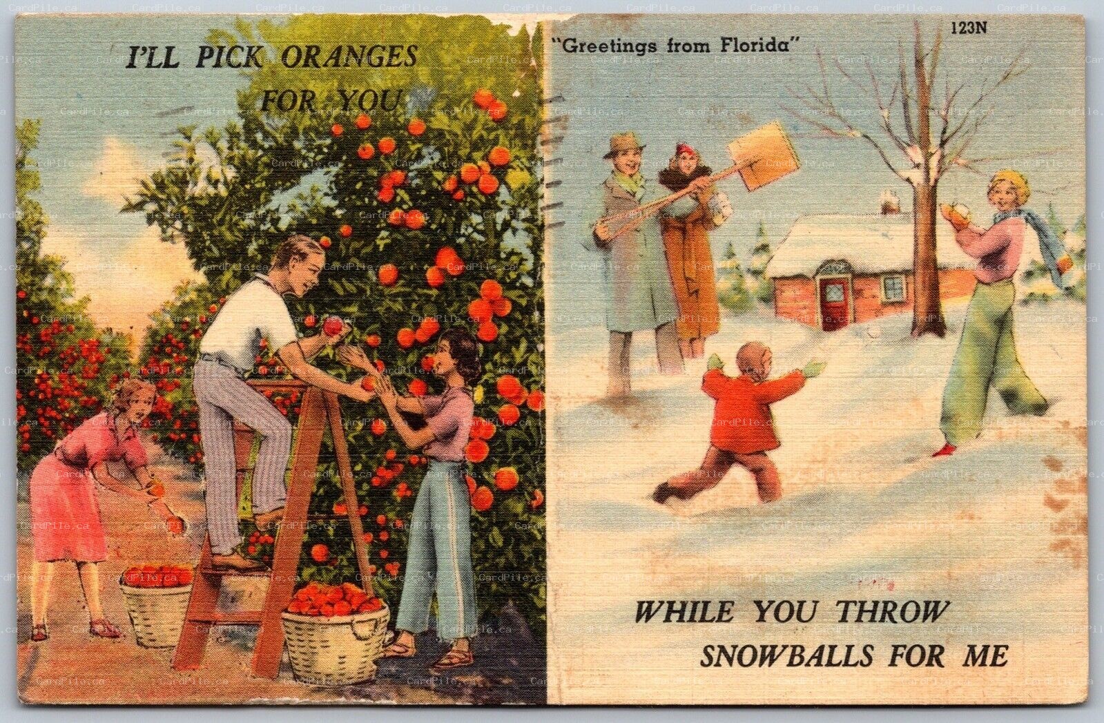 Postcard 1952 Greetings From Florida Picking Oranges Throwing Snowballs Snowbird