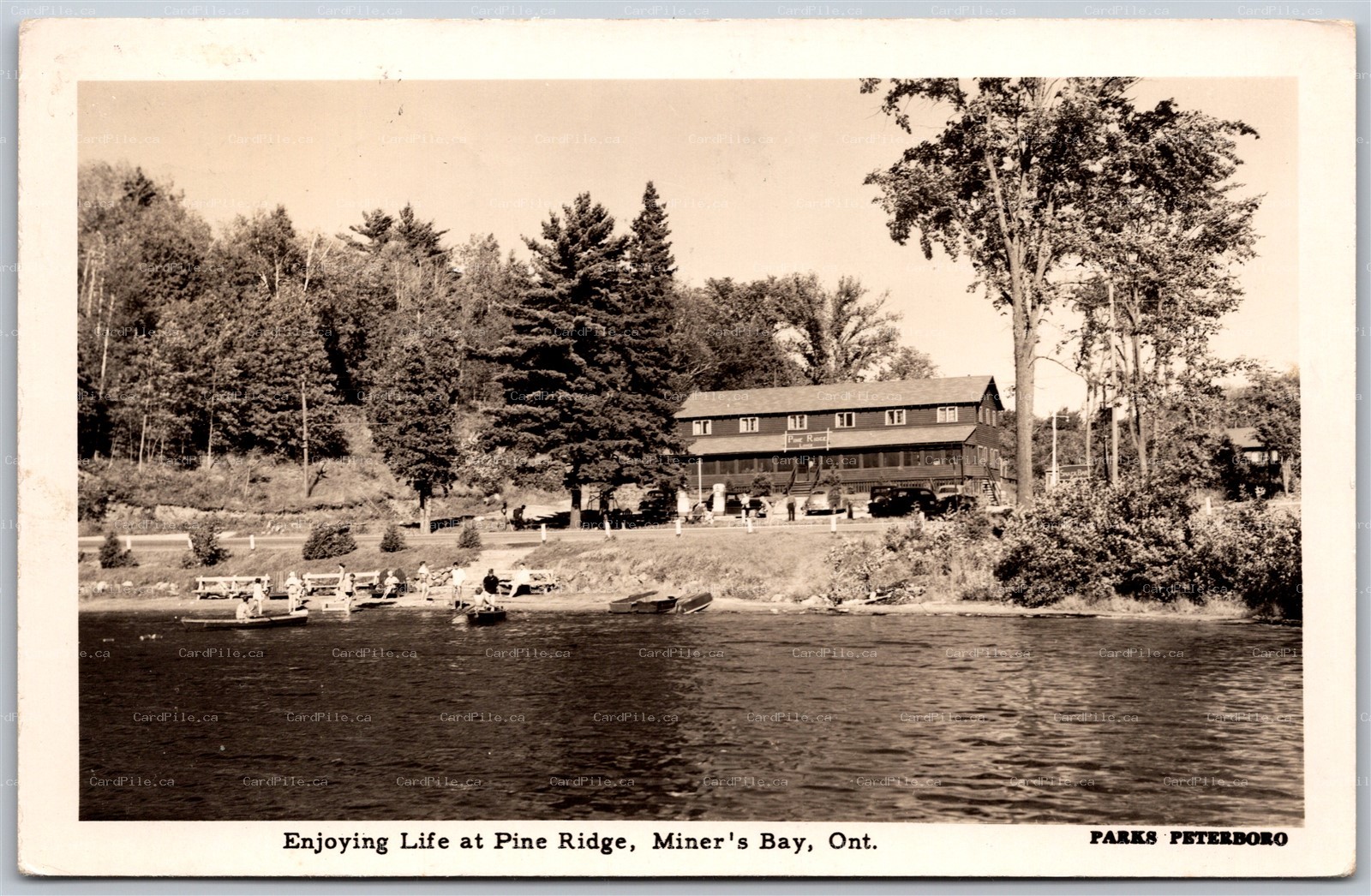 Postcard RPPC c1955 Miner's Bay Ontario Pine Ridge Lodge Minden Haliburton Co.
