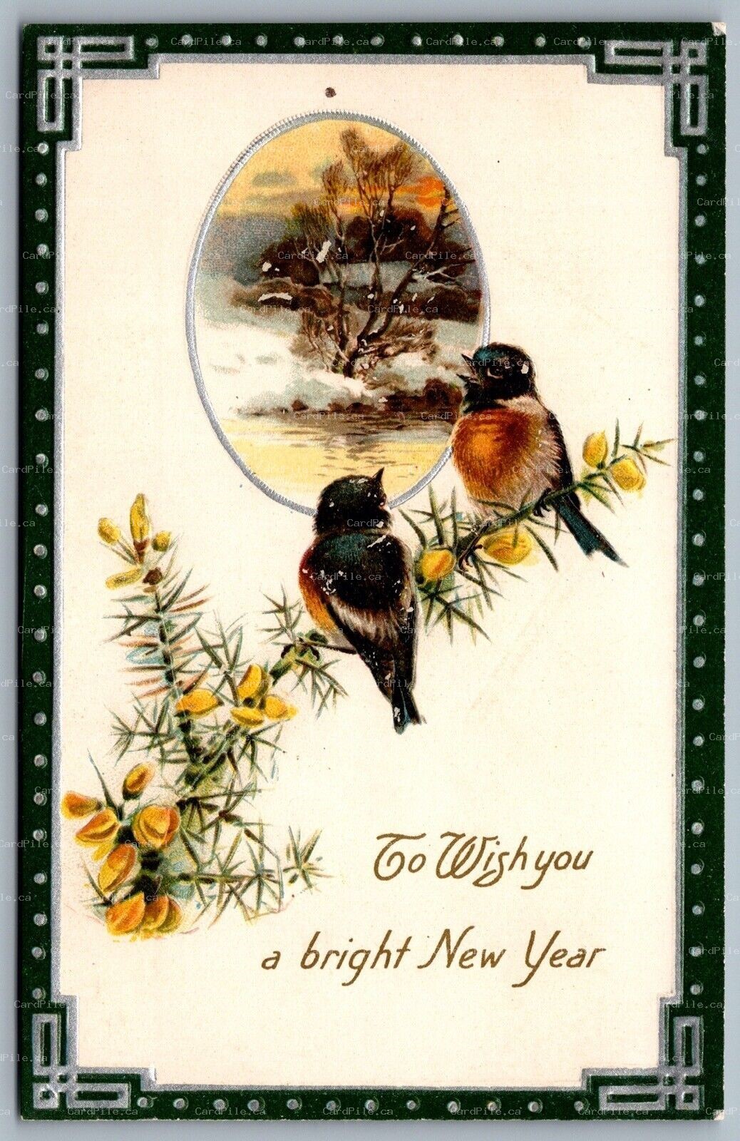 Postcard c1910s To Wish You a Bright New Years Pair of Robins Winsch Back Unused