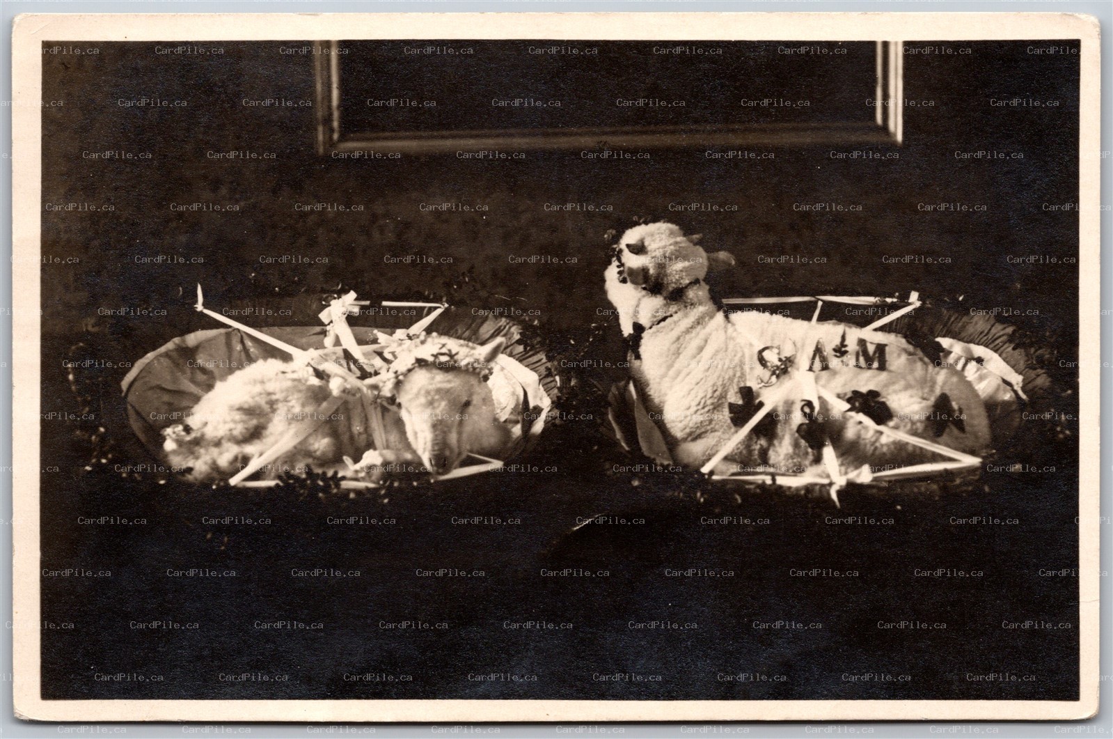 Postcard RPPC 1920s Rome Italy Basilica S. Agnese Blessed Lambs Agnelli Benedet