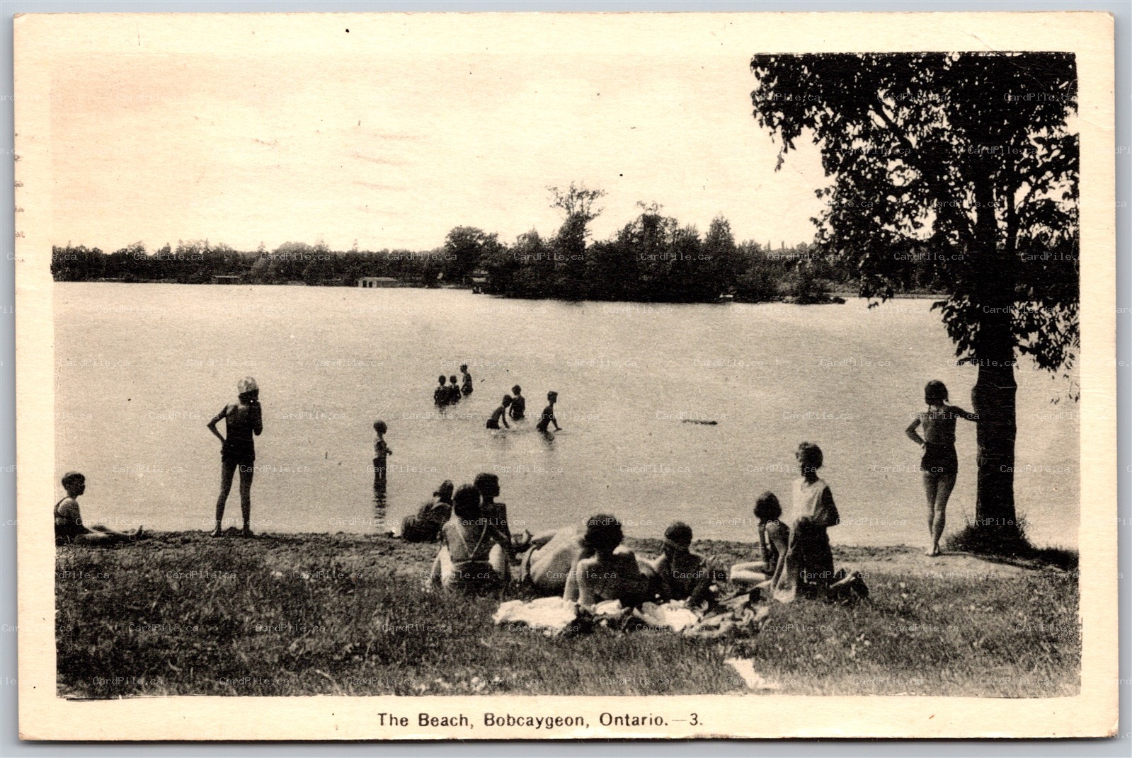 Postcard Bobcaygeon Ontario c1946 The Beach Bathers Victoria County