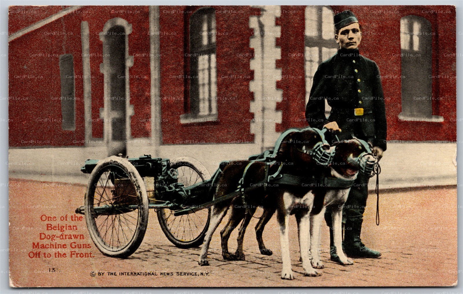 Postcard c1910s One Of the Belgian Dog Drawn Machine Guns Off To The Front
