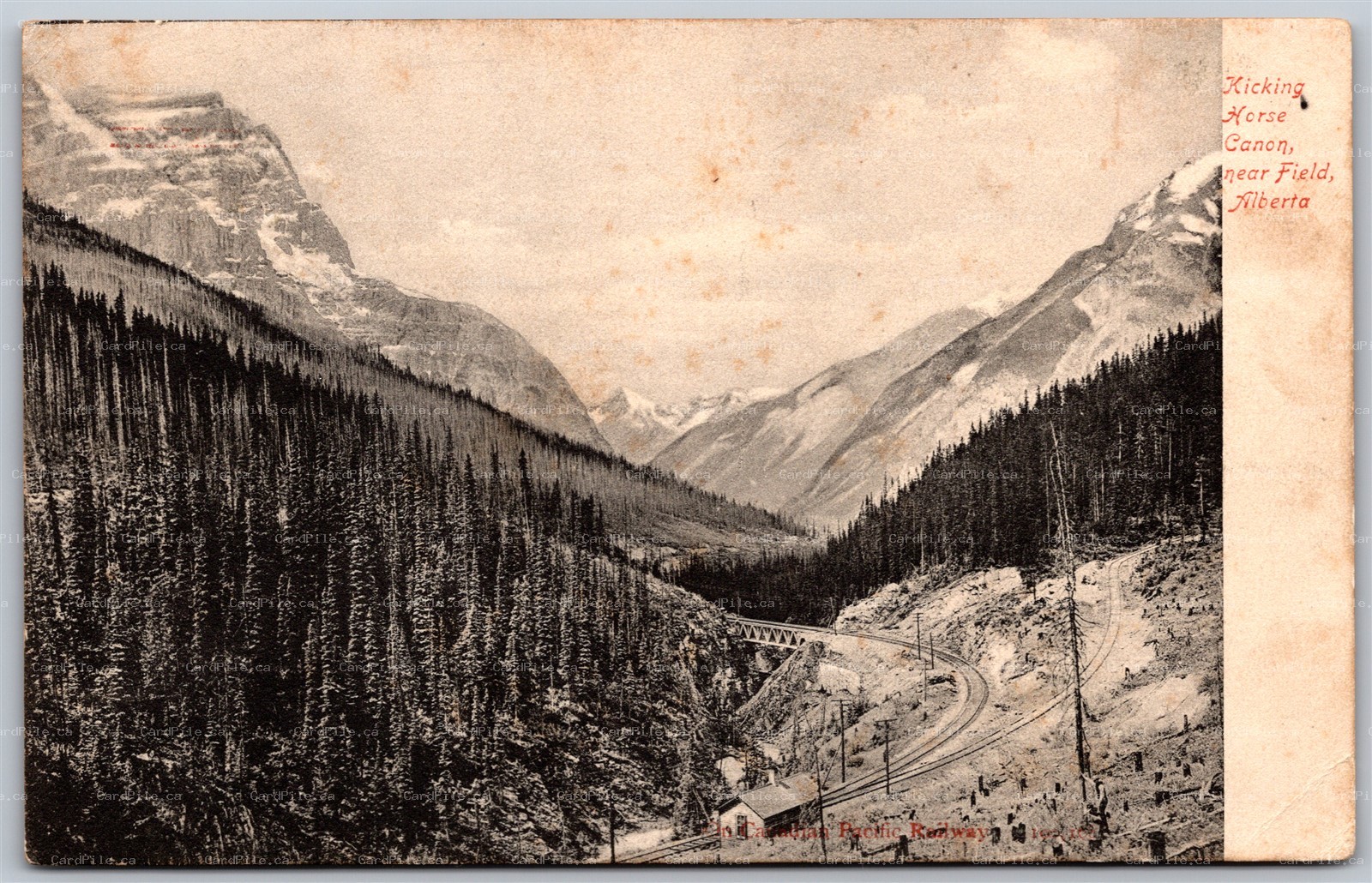 Postcard Field Alberta c1906 Kicking Horse Canon Assiniboia CDS Cancel Grenfell