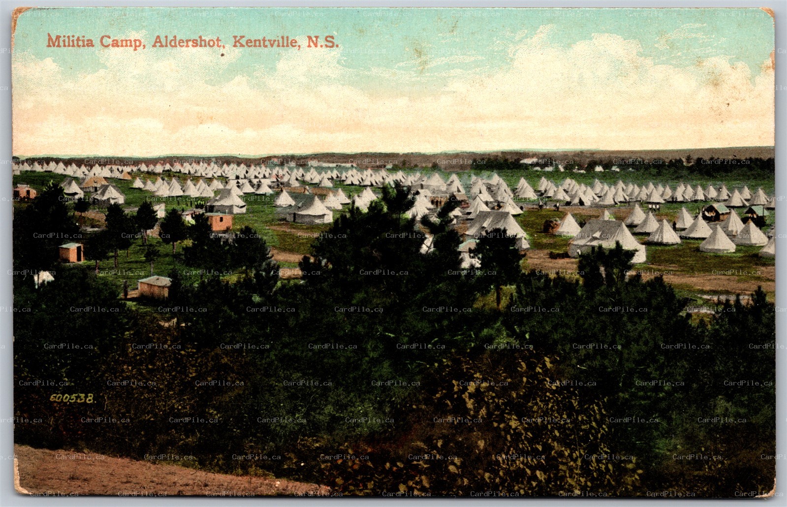 Postcard Aldershot Kentville Nova Scotia c1910s Militia Camp Tents