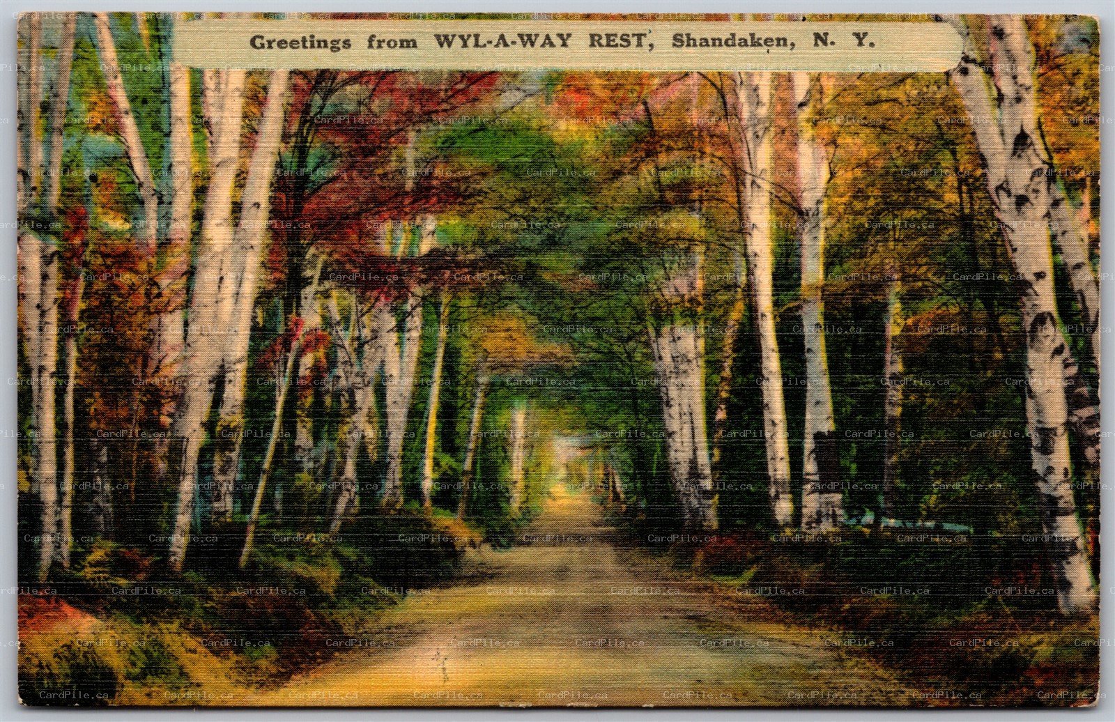 Postcard Shandaken New York Greetings From Wyl-A-Way Rest Scenic Ulster County