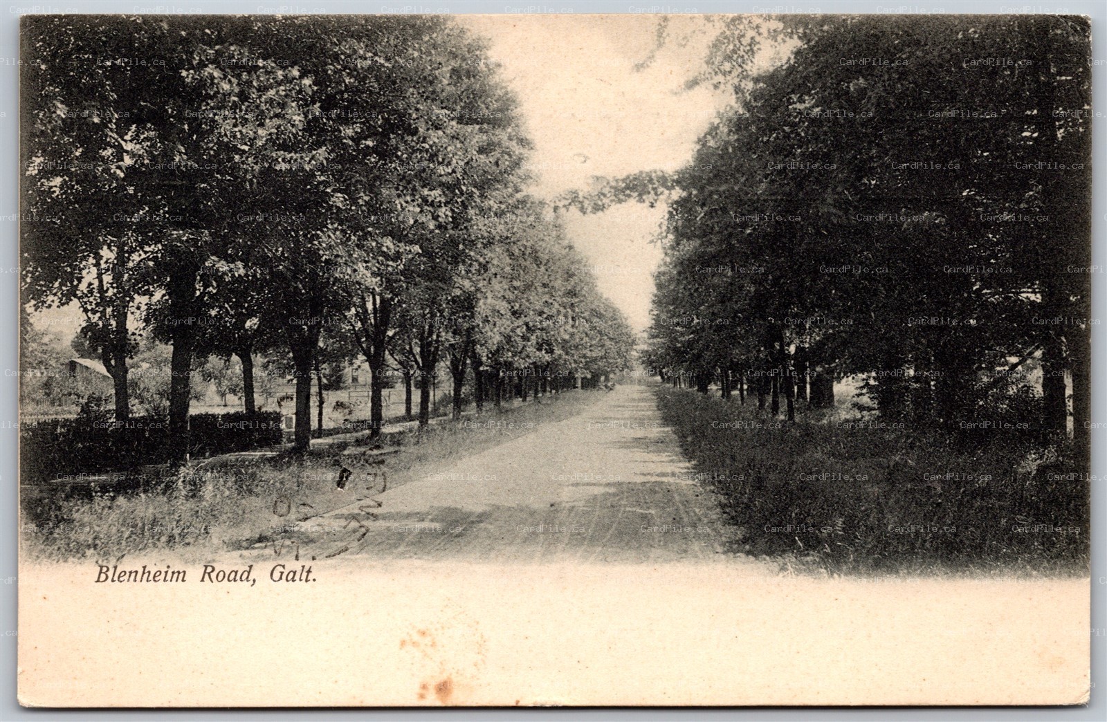 Postcard Galt Ontario c1906 Blenheim Road Split Ring Cancel Combermere