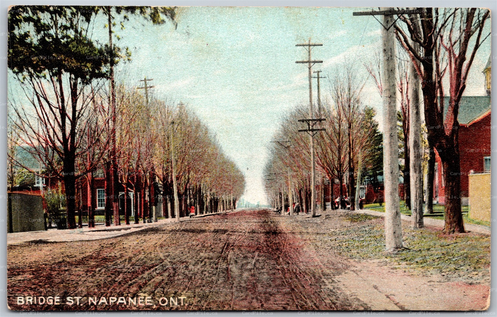 Postcard Napanee Ontario c1910s Bridge St. Lennox and Addington County