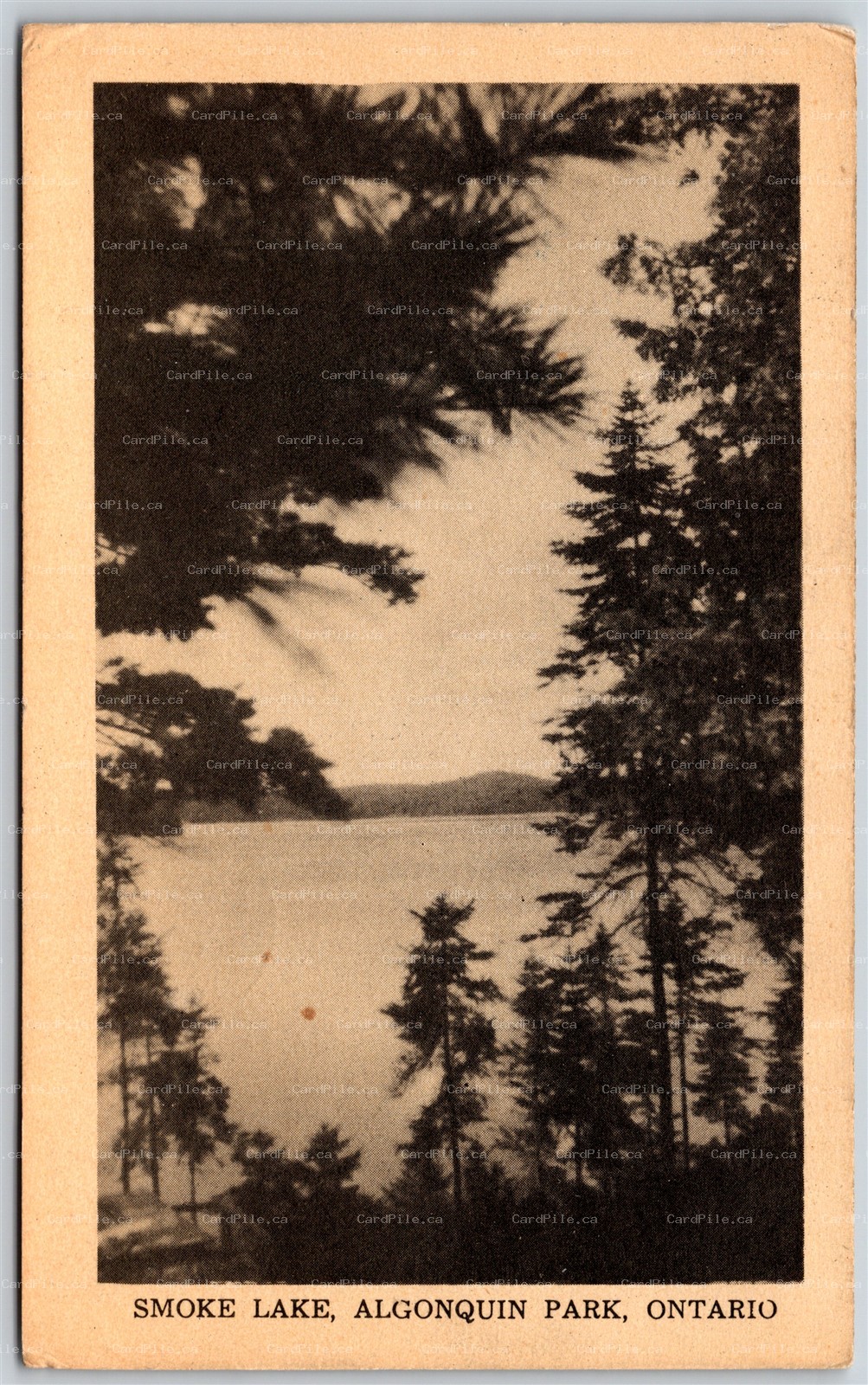 Postcard Algonquin Park Ontario c1952 Smoke Lake Scenic View