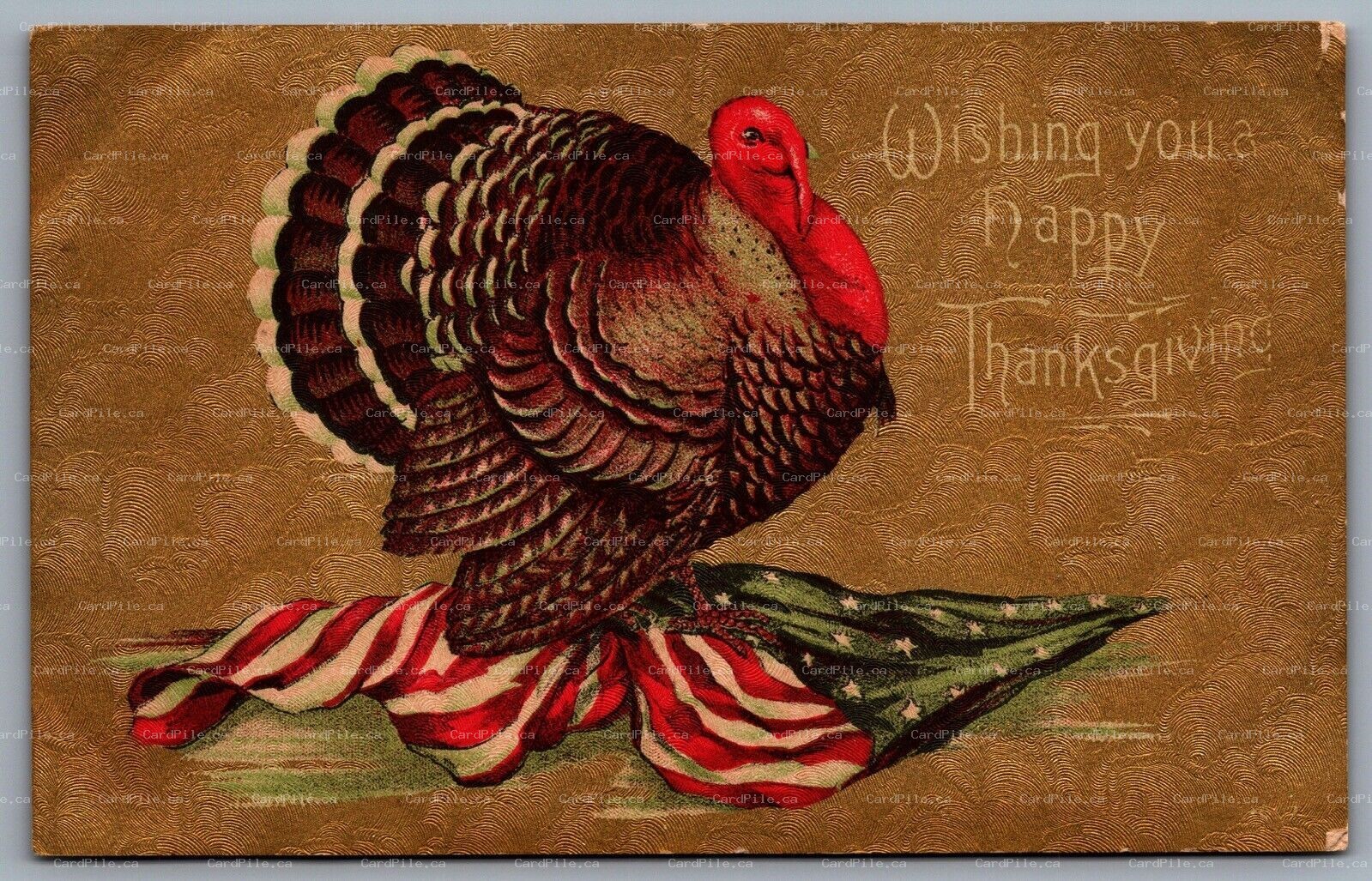 Postcard c1909 Wishing You a Happy Thanksgiving Turken on American Flag