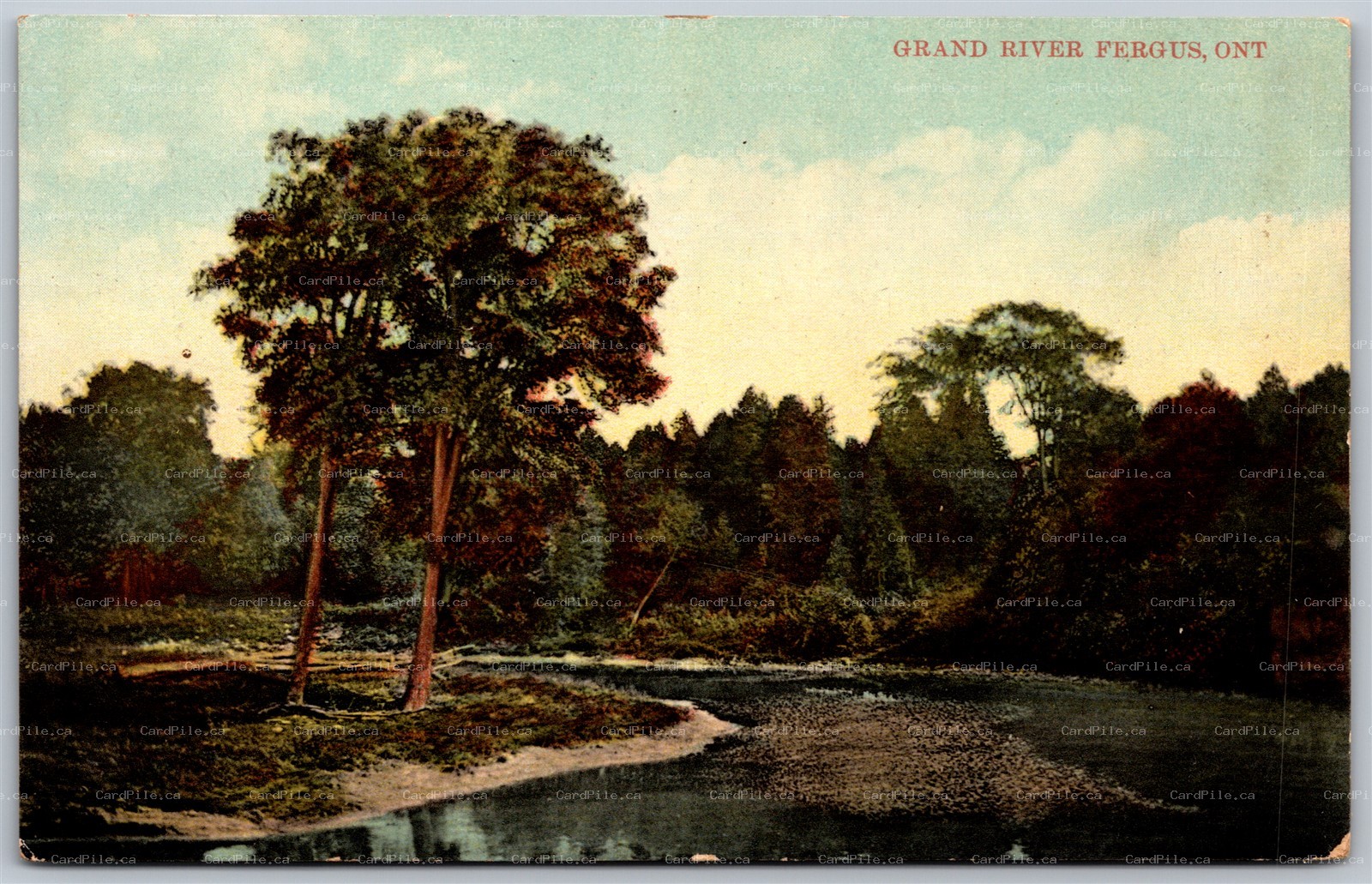 Postcard Fergus Ontario c1908 Grand River Scenic View Wellington County Stedman