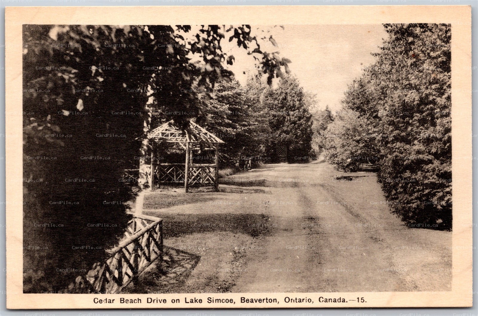Postcard Beaverton Ontario c1930s Cedar Beach Drive on Lake Simcoe by PECO