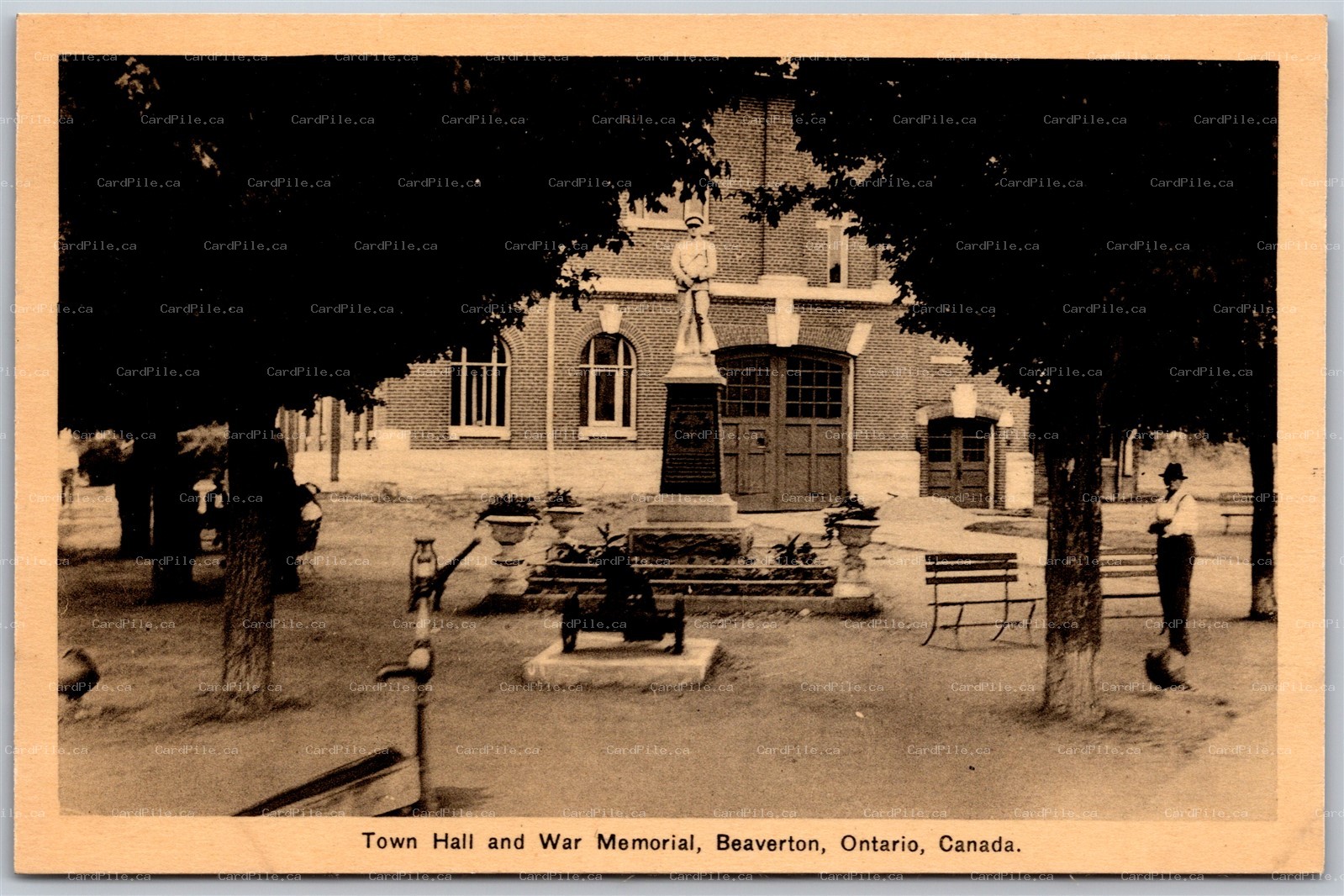 Postcard Beaverton Ontario 1930s Town Hall and War Memorial by Millers Drugstore