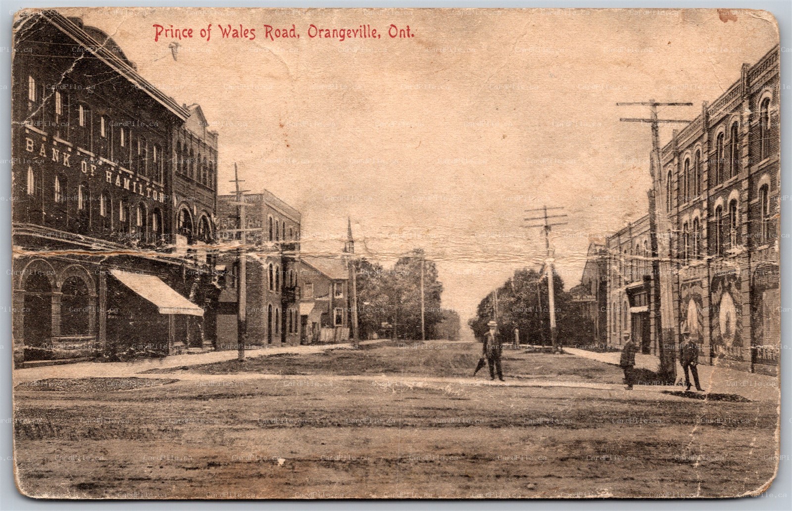 Postcard Orangeville Ontario c1911 Prince of Wales Road by Pugh *as is*