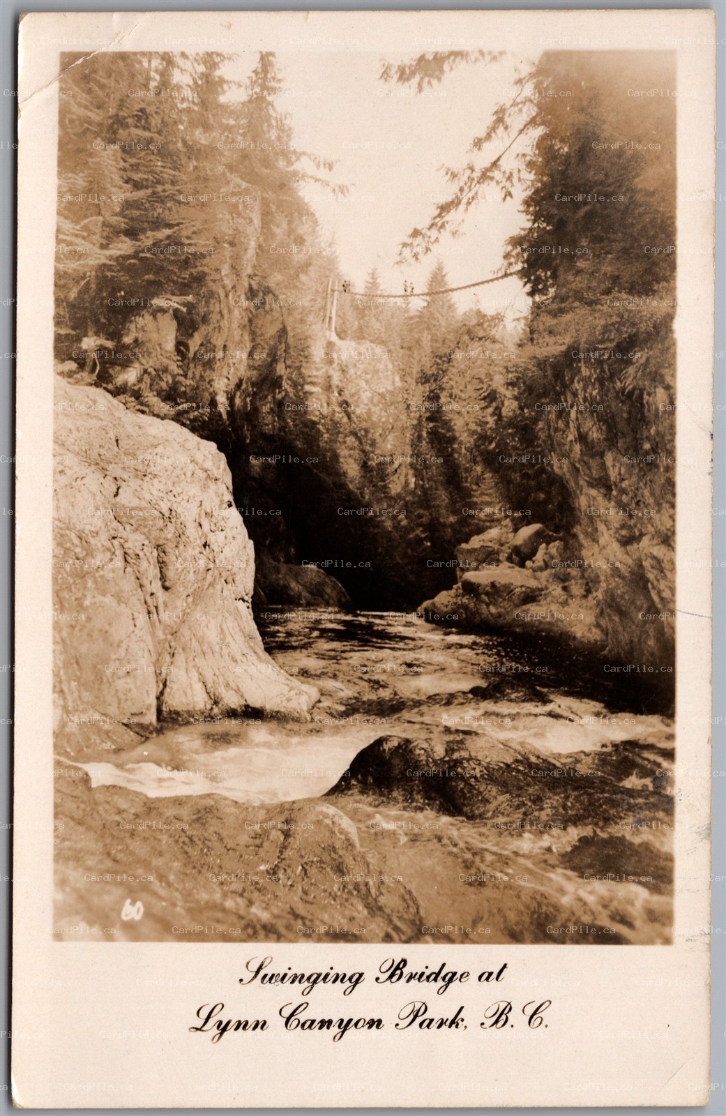Postcard RPPC North Vancouver British Columbia Lynn Canyon Park Swinging Bridge