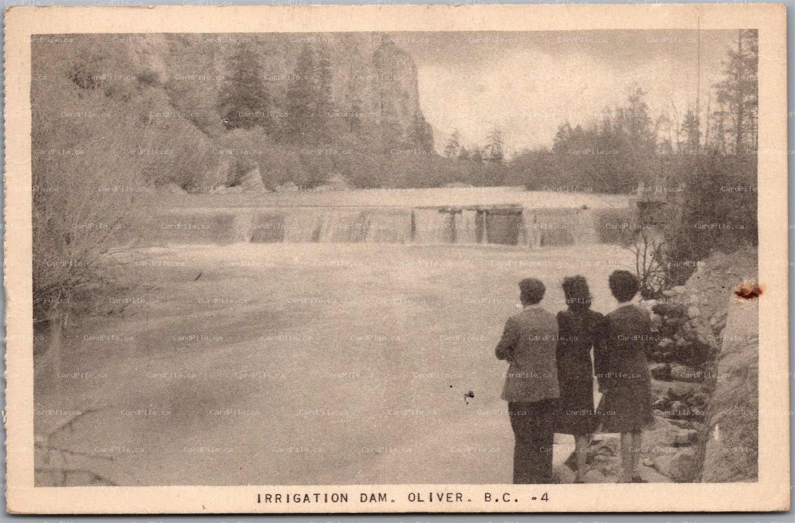 Postcard Oliver British Columbia c1948 Irrigation Dam Okanagan Valley