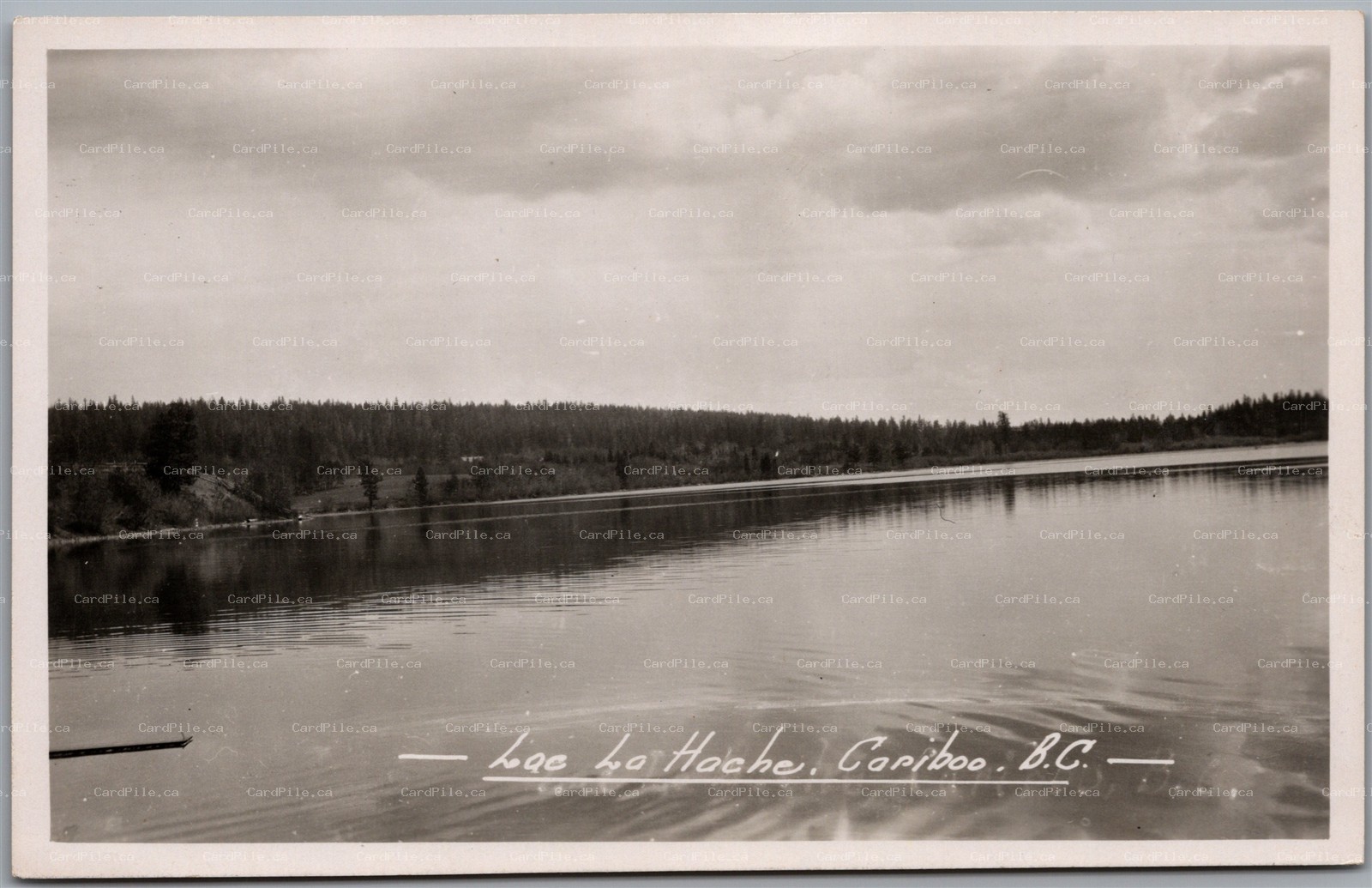 Postcard RPPC Cariboo British Columbia Lac la Hache Scenic View by Gowen Sutton
