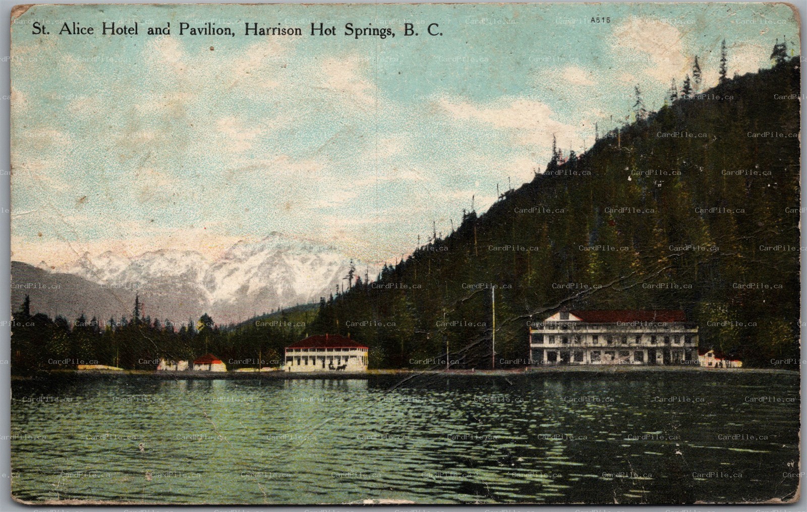 Postcard Harrison Hot Springs British Columbia 1912 St. Alice Hotel and Pavilion