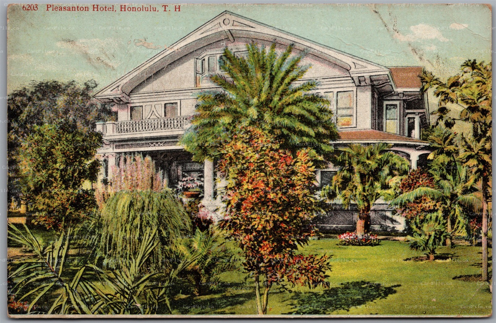 Postcard Honolulu Territory of Hawaii c1910s Pleasanton Hotel Pre-Statehood