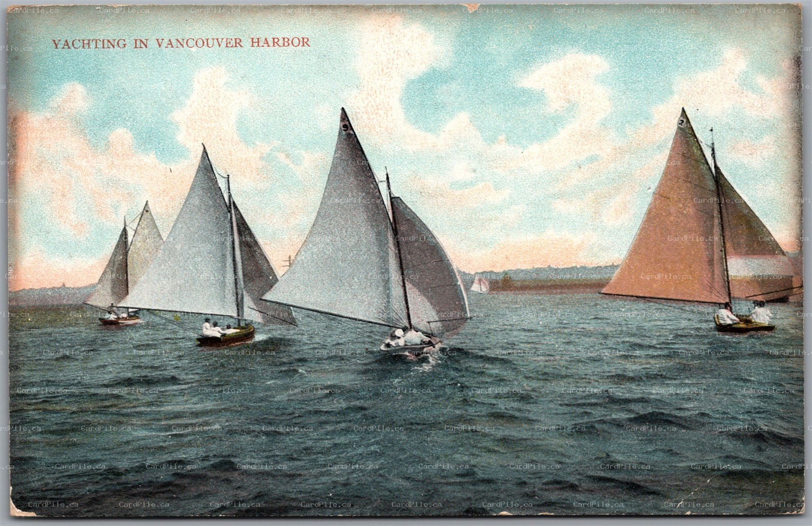 Postcard Vancouver British Columbia c1910 Yachting in the Harbour Sailboats