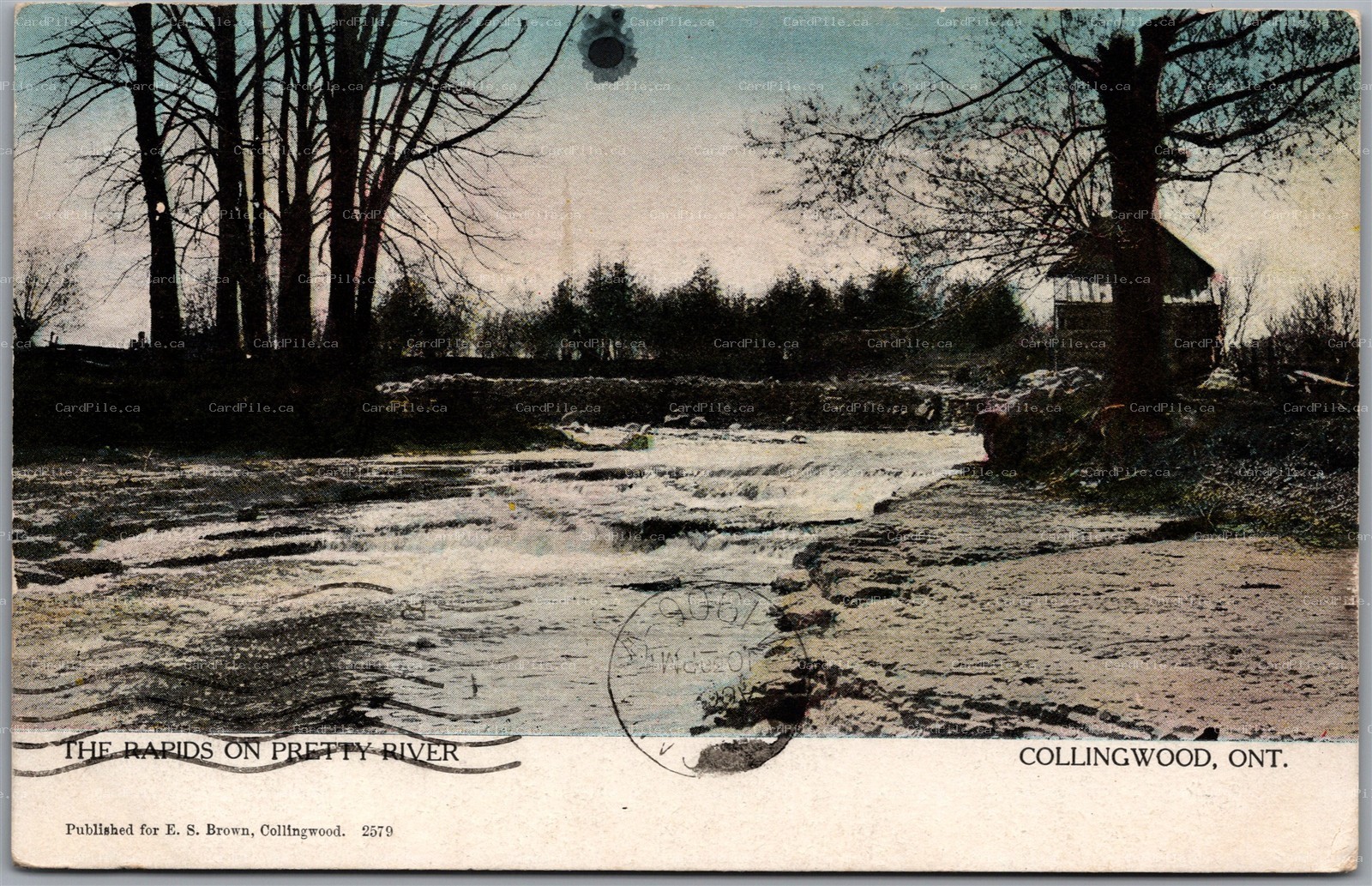 Postcard Collingwood Ontario c1906 The Rapids on Pretty River by E. S. Brown