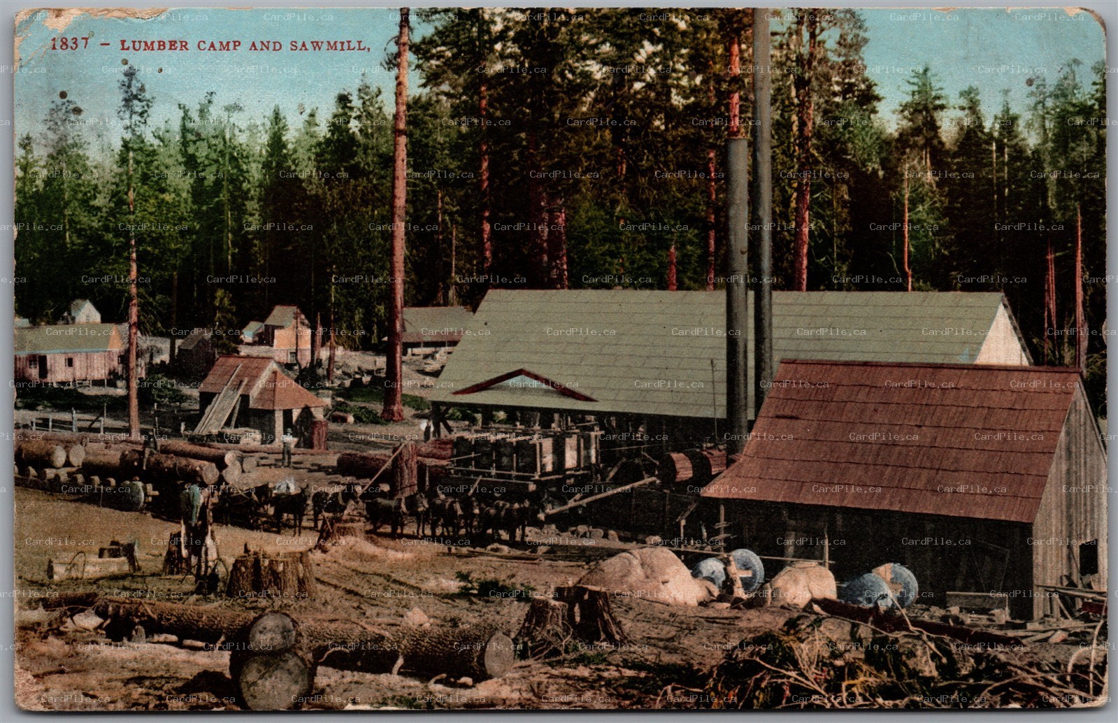 Postcard North Fork California c1910 Peckinpah Lumber Company Camp and Sawmill