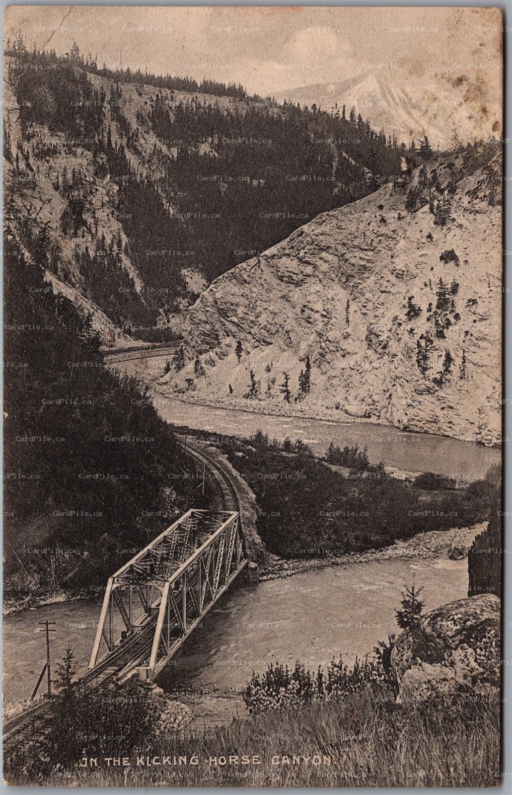 Postcard Field British Columbia In the Kicking Horse Canyon Railroad by Chapman