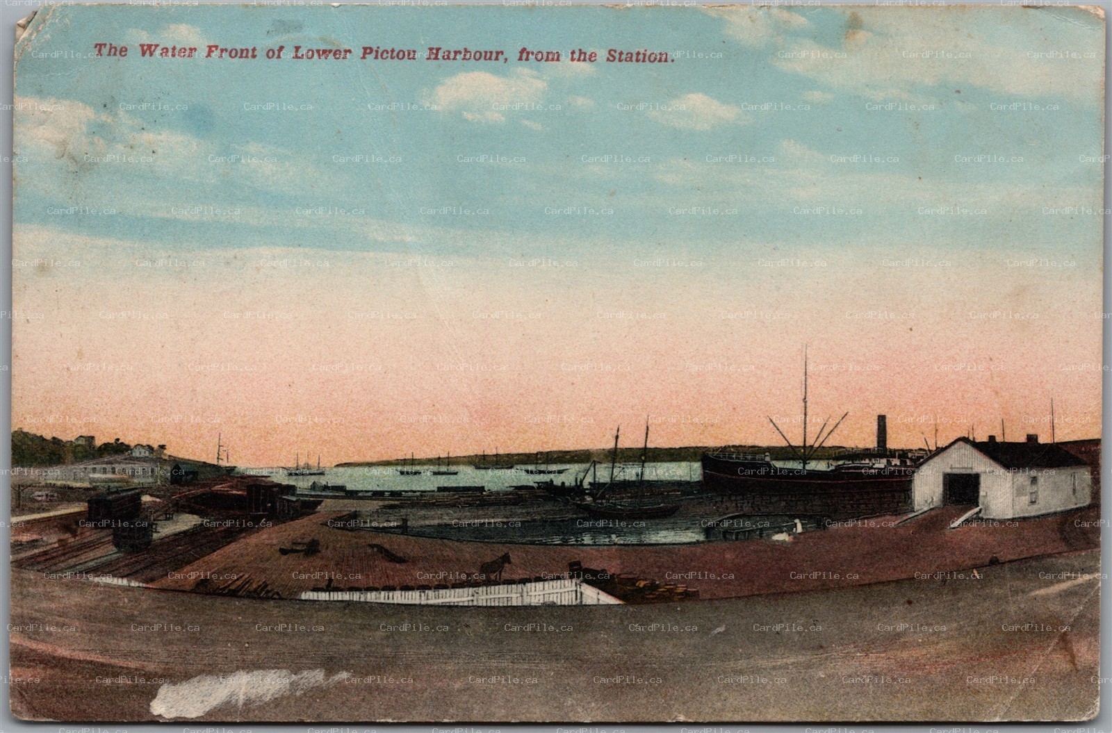 Postcard Nova Scotia c1910 The Water Front of Lower Pictou Harbour from Station