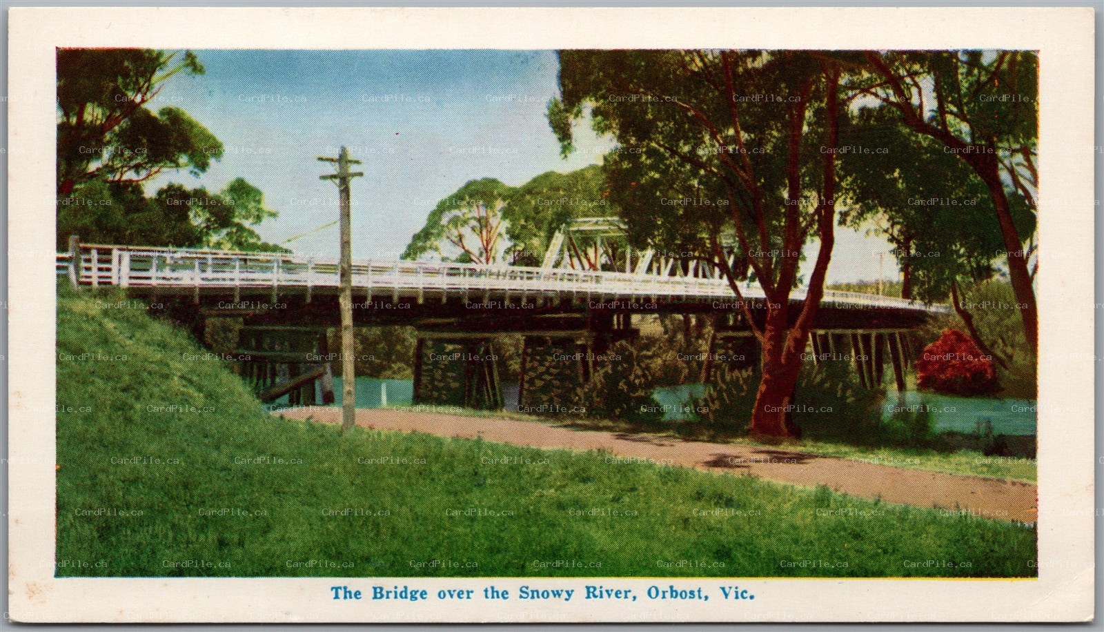 Postcard Orbost Victoria Australia Bridge over the Snowy River