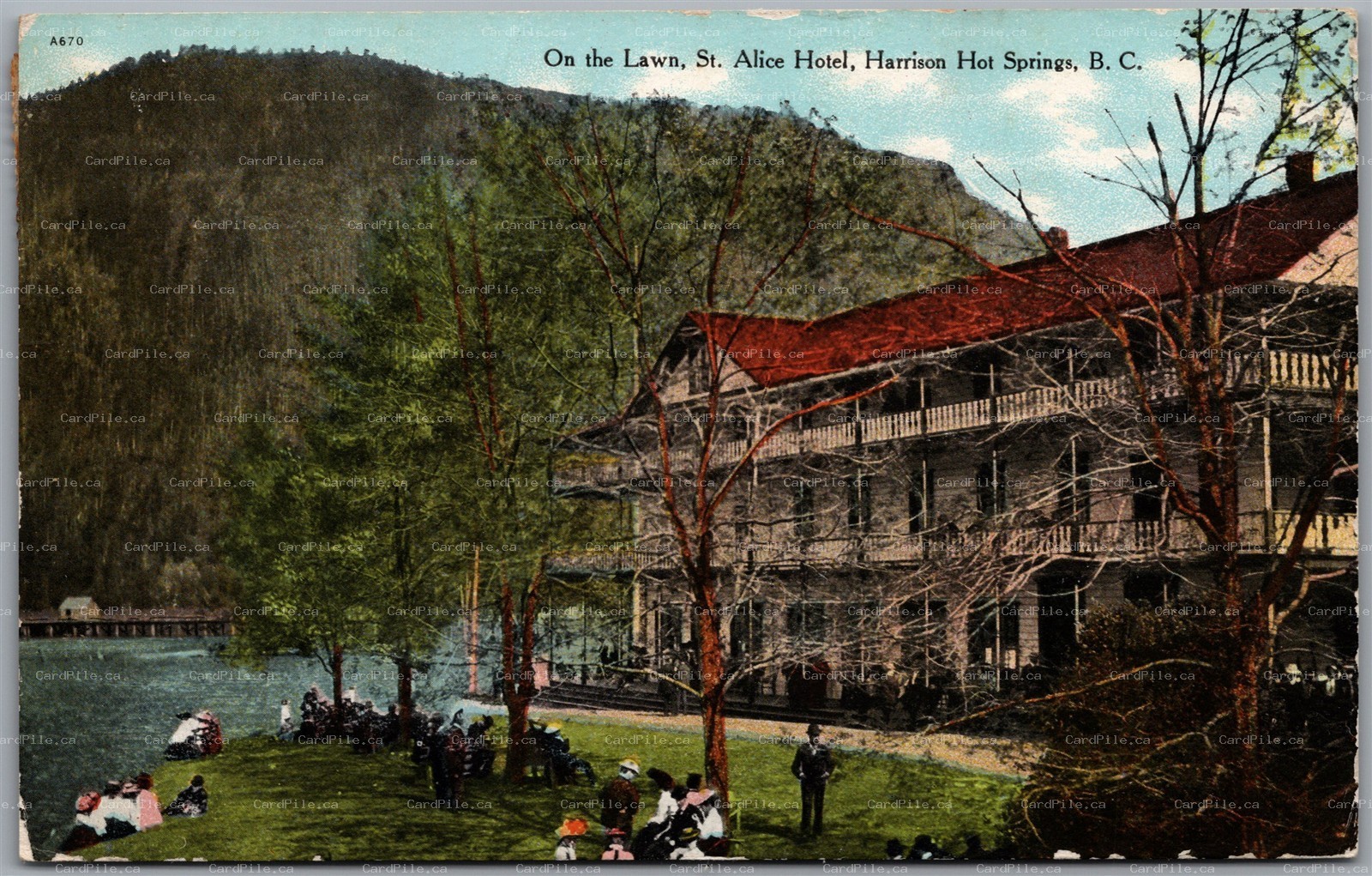 Postcard Harrison Hot Springs British Columbia c1909 St. Alice Hotel On The Lawn