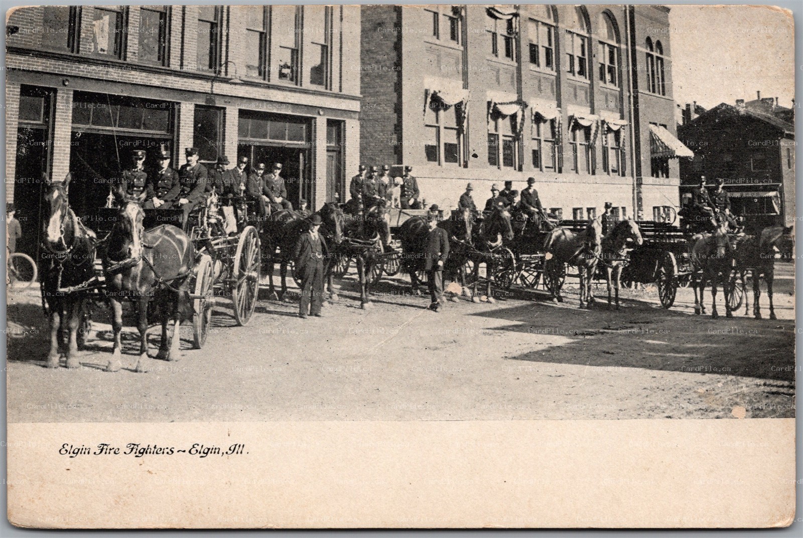 Postcard Elgin Illinois c1910s Fire Fighters Horse Drawn Wagons